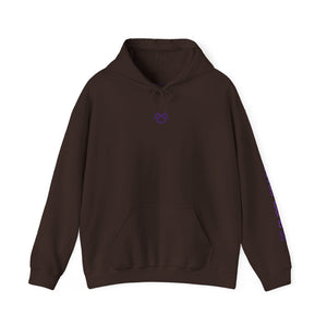 Purple Panda Hoodie
