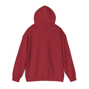 Dark Panda Hoodie