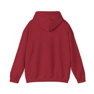 Dark Panda Hoodie